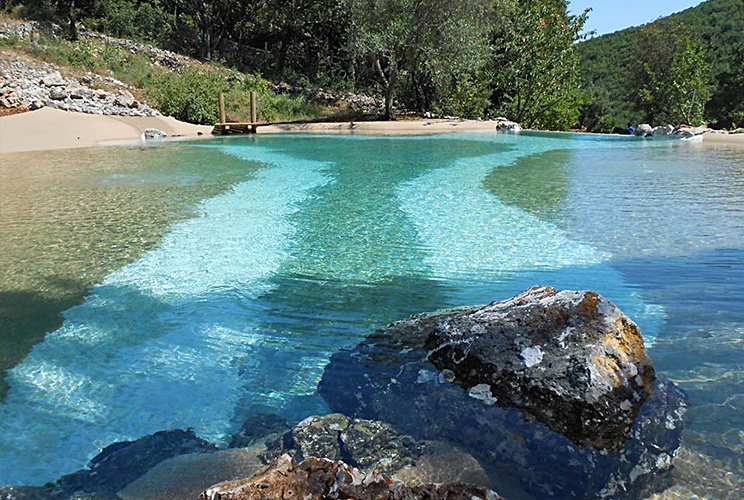 Réalisation piscine naturelle