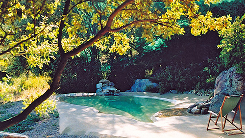 Piscine naturelle Bassin de baignade 10