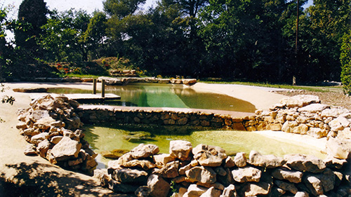 Piscine naturelle Bassin de baignade 101