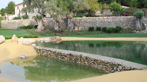 Piscine naturelle Bassin de baignade 111