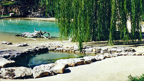 Piscine naturelle Bassin de baignade 113