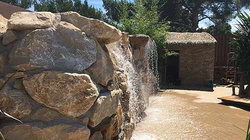 Piscine naturelle Bassin de baignade 115