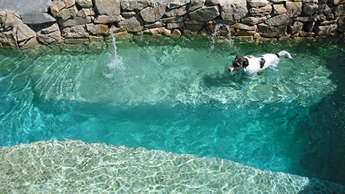 Piscine naturelle Bassin de baignade 118