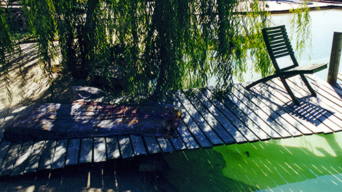 Piscine naturelle Bassin de baignade 120