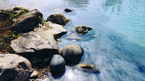 Piscine naturelle Bassin de baignade 131