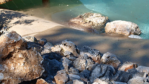 Piscine naturelle Bassin de baignade 139