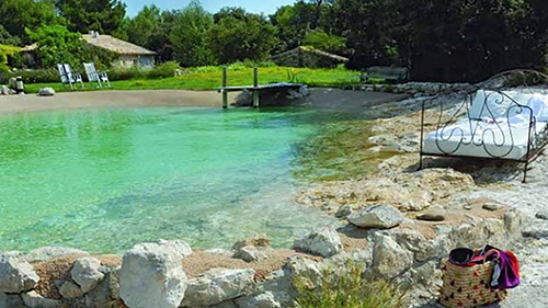 Piscine naturelle Bassin de baignade 14