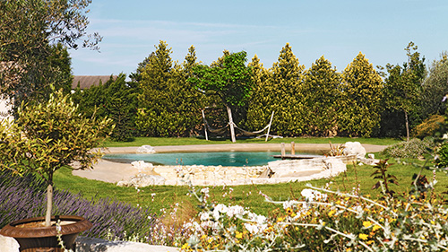 Piscine naturelle Bassin de baignade 149