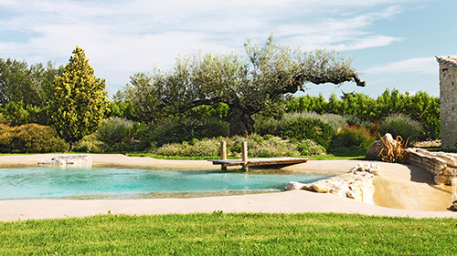 Piscine naturelle Bassin de baignade 150