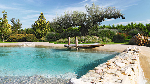 Piscine naturelle Bassin de baignade 151