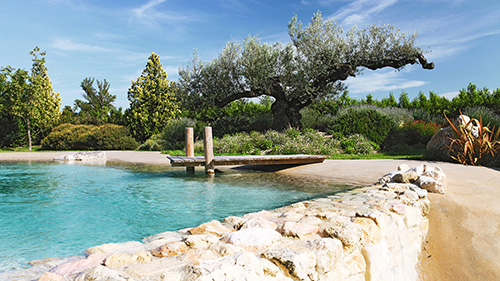 Piscine naturelle Bassin de baignade 152