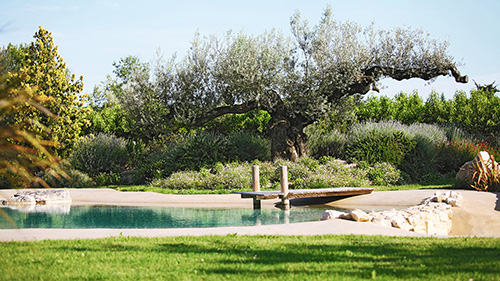 Piscine naturelle Bassin de baignade 160