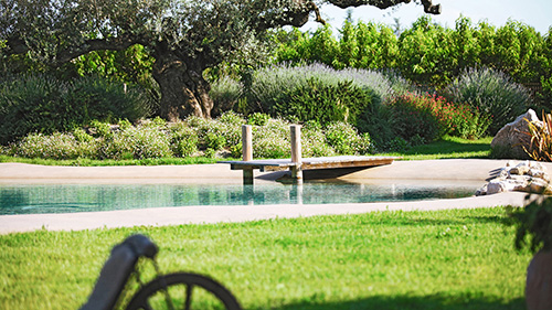 Piscine naturelle Bassin de baignade 161