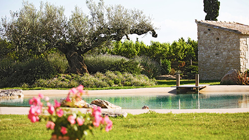 Piscine naturelle Bassin de baignade 163