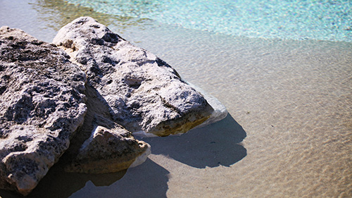 Piscine naturelle Bassin de baignade 167