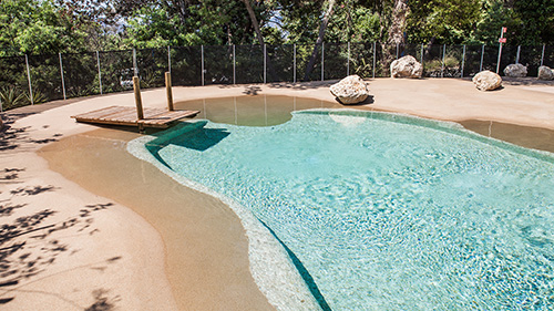 Piscine naturelle Bassin de baignade 192