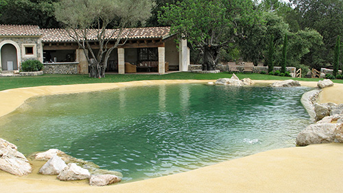 Piscine naturelle Bassin de baignade 2