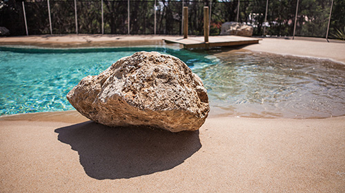 Piscine naturelle Bassin de baignade 204