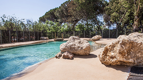 Piscine naturelle Bassin de baignade 207