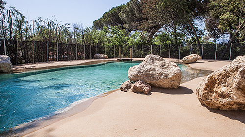 Piscine naturelle Bassin de baignade 208