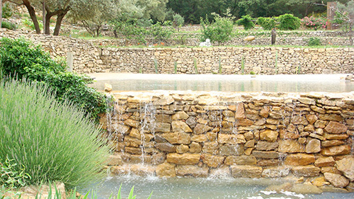 Piscine naturelle Bassin de baignade 21