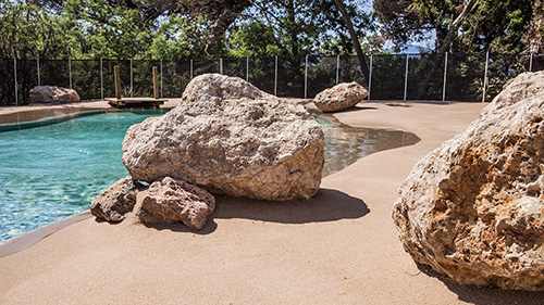 Piscine naturelle Bassin de baignade 210