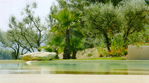 Piscine naturelle Bassin de baignade 22