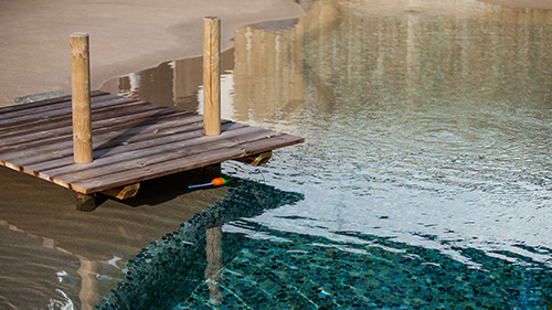 Piscine naturelle Bassin de baignade 222