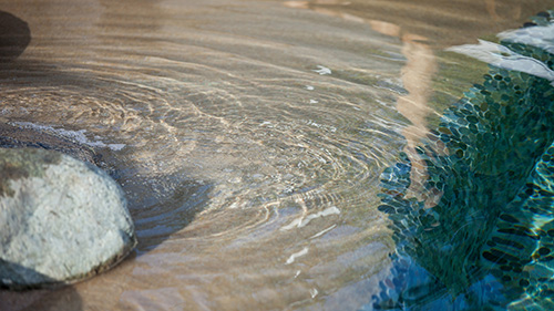 Piscine naturelle Bassin de baignade 223