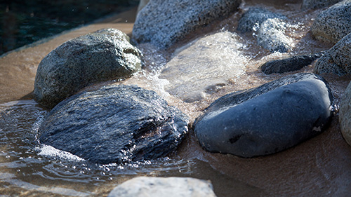 Piscine naturelle Bassin de baignade 225