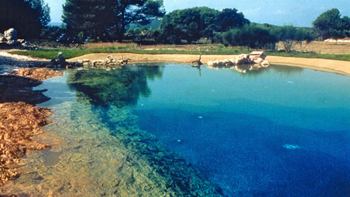 Piscine naturelle Bassin de baignade 23