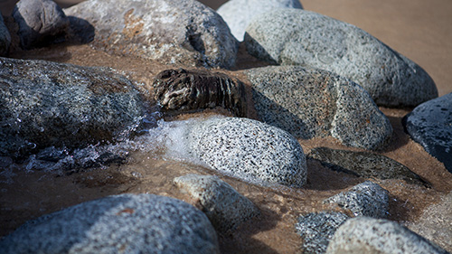 Piscine naturelle Bassin de baignade 238