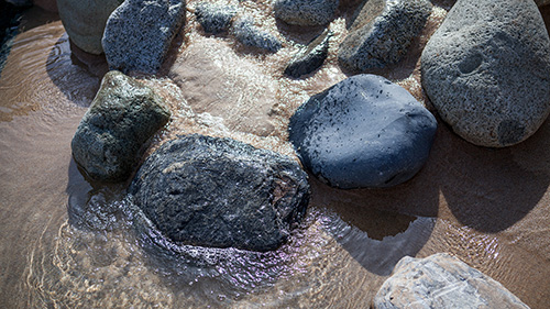 Piscine naturelle Bassin de baignade 243