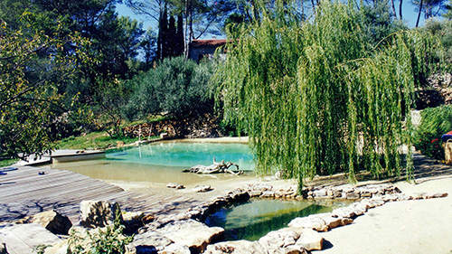 Piscine naturelle Bassin de baignade 3