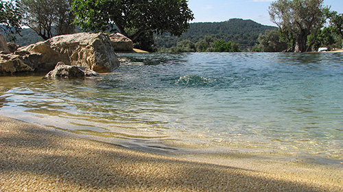 Piscine naturelle Bassin de baignade 34