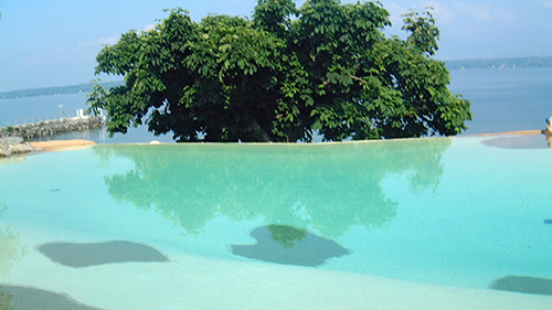 Piscine naturelle Bassin de baignade 35