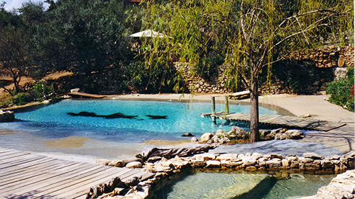 Piscine naturelle Bassin de baignade 37