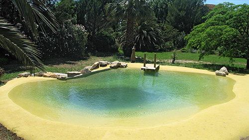 Piscine naturelle Bassin de baignade 40