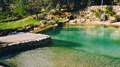 Piscine naturelle Bassin de baignade 47