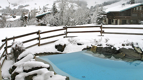 Piscine naturelle Bassin de baignade 60