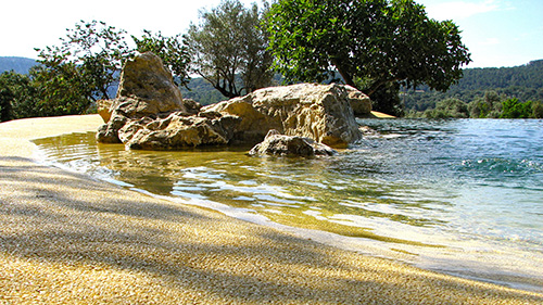 Piscine naturelle Bassin de baignade 61