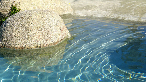 Piscine naturelle Bassin de baignade 62