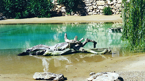 Piscine naturelle Bassin de baignade 69