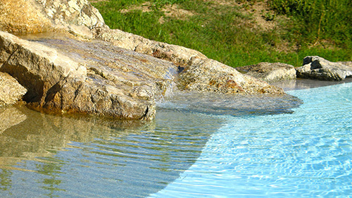 Piscine naturelle Bassin de baignade 7