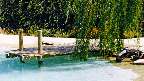 Piscine naturelle Bassin de baignade 74