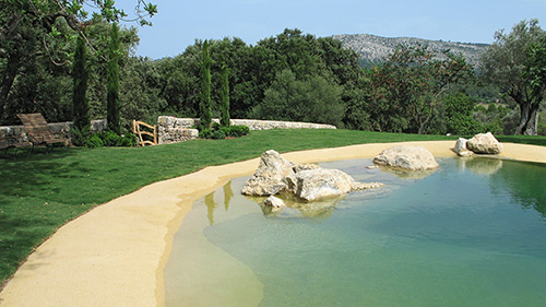 Piscine naturelle Bassin de baignade 75