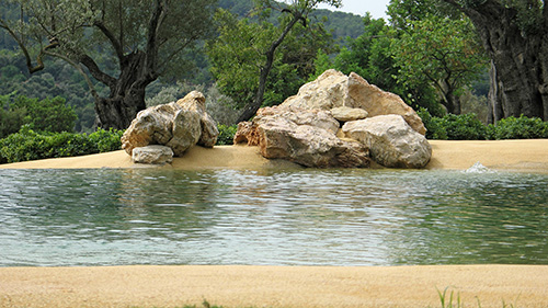 Piscine naturelle Bassin de baignade 79