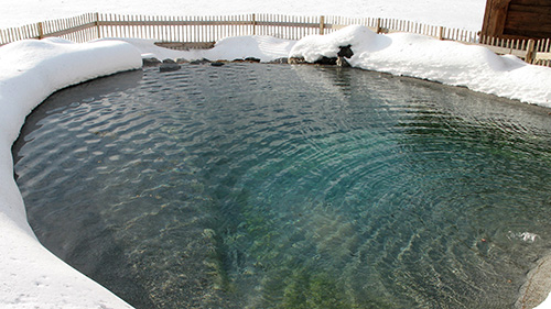 Piscine naturelle Bassin de baignade 83