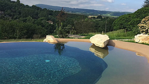 Piscine naturelle Bassin de baignade 88