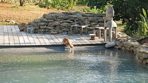 Piscine naturelle Bassin de baignade 97